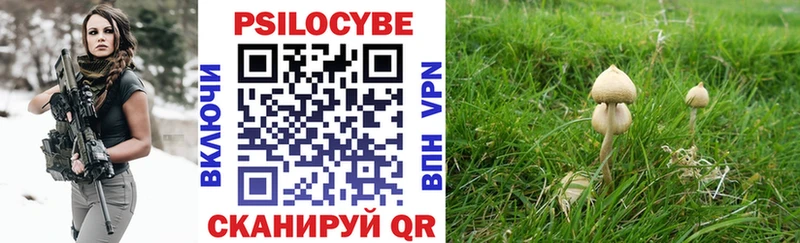 Псилоцибиновые грибы GOLDEN TEACHER  Купить закладки  Семилуки 